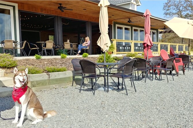 Half-Day North Georgia Wine Country Tour From Atlanta - Who will enjoy this half-day trip?