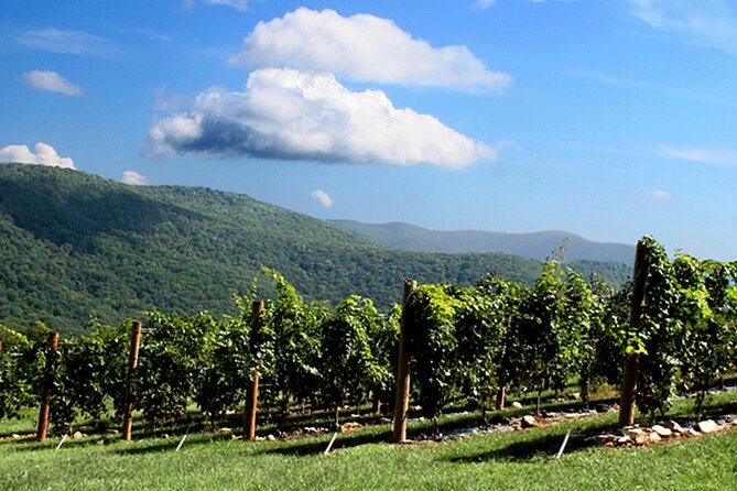 Half-Day North Georgia Wine Country Tour From Atlanta - Canoe Vineyards and Winery in Talking Rock