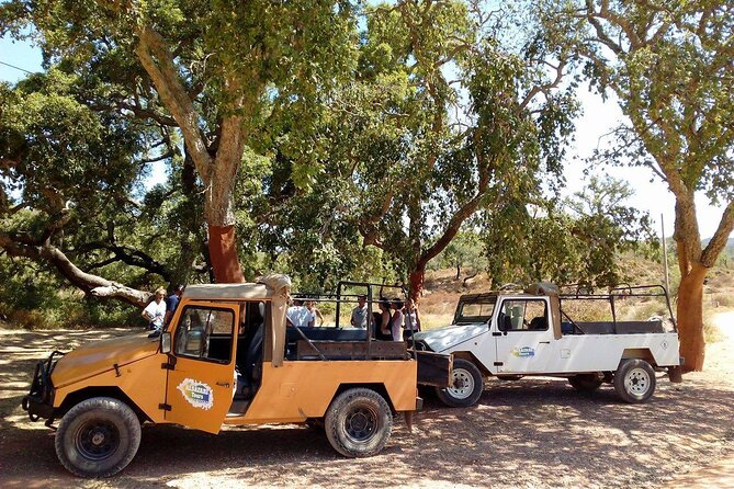 Half Day Safari Tour with Wine Tasting - Leaving Albufeira for Paderne