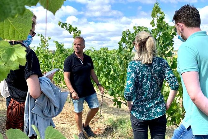 Half Day Safari Tour with Wine Tasting - Food, extras, and the question of lunch
