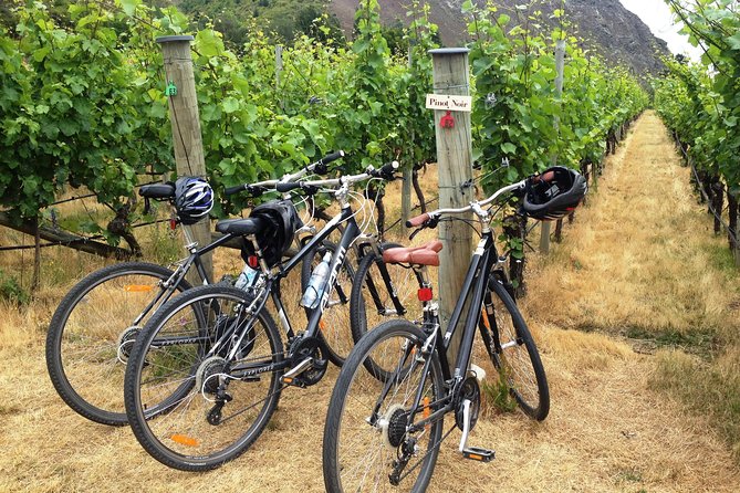 Half-Day Self-Guided Ride and Wine Bike Tour from Arrowtown - Key Points at a Glance