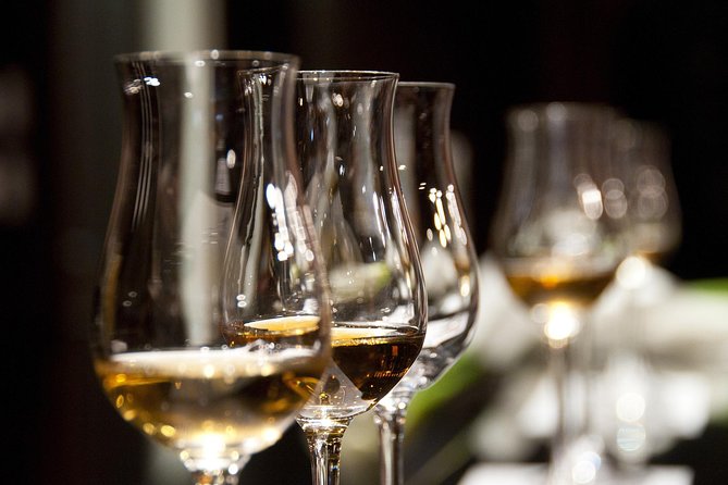 Half-Day Stellenbosch Winelands Tour from Cape Town - Who should book this Stellenbosch tour?