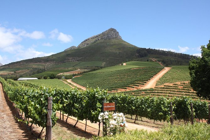 Half-Day Stellenbosch Winelands Tour from Cape Town - A quick look at old Stellenbosch