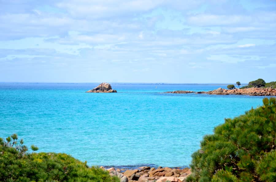 Half day Wine and Sights Discovery Tour Busselton - Why this half-day tour works