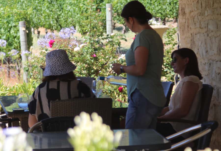 Half day Wine and Sights Discovery Tour Busselton - Caves Road and the move into wine country