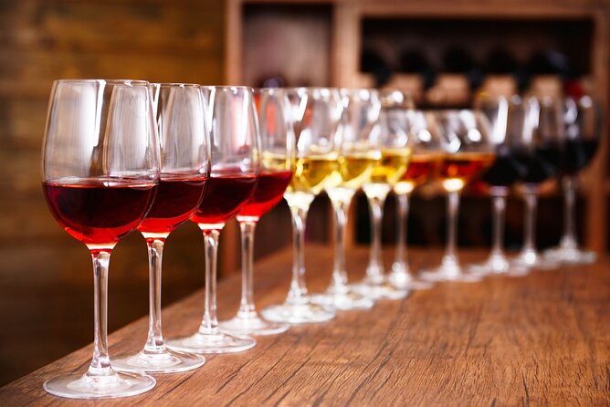 Half-Day Wine Tastings in the North Georgia Mountains - Quick take: what matters most