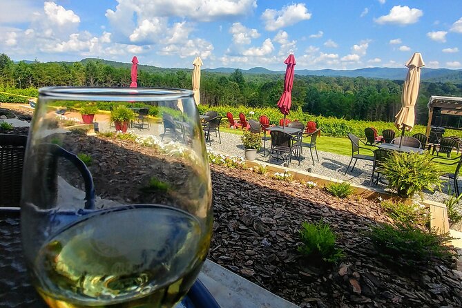 Half-Day Wine Tastings in the North Georgia Mountains - How much wine education should you expect?