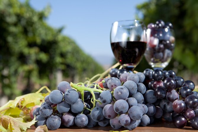 Half-Day Wine Tastings in the North Georgia Mountains - Price, timing, and overall value