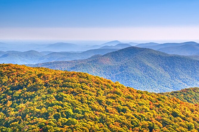 Half-Day Wine Tastings in the North Georgia Mountains - Ott Farms and Vineyard for the scenic finish