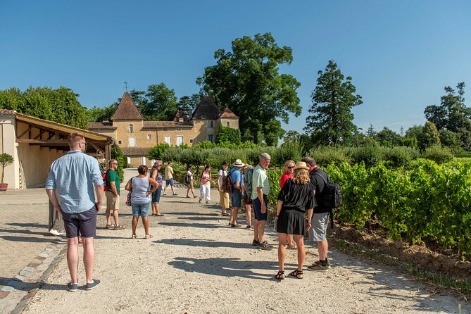 Half-Day Wine tour across Bordeaux’s Vineyards - The essentials at a glance