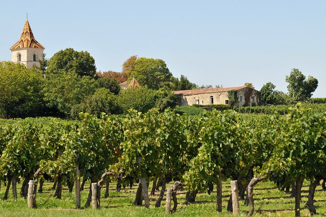 Half-Day Wine tour across Bordeaux’s Vineyards - What the bilingual format feels like