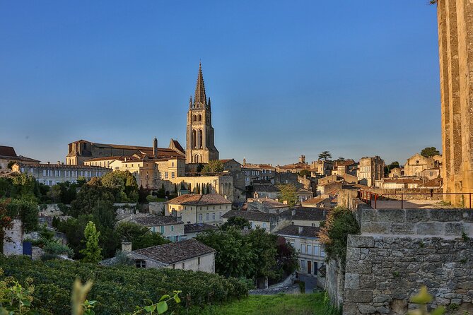 Half-Day Wine tour across Bordeaux’s Vineyards - Comfort, weather, and what to bring