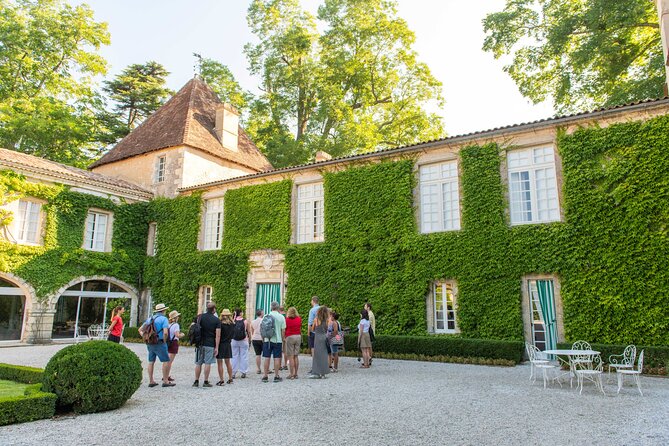 Half-Day Wine tour across Bordeaux’s Vineyards - Who should book this afternoon?