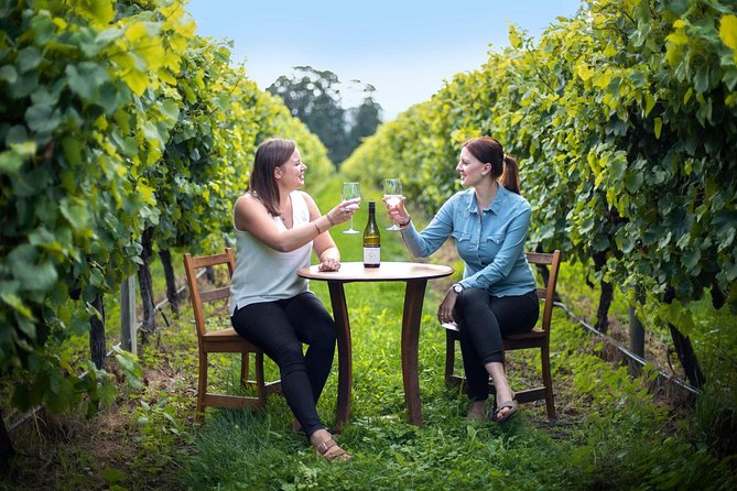 Half-Day Wine Tour from Picton - Key points before you book