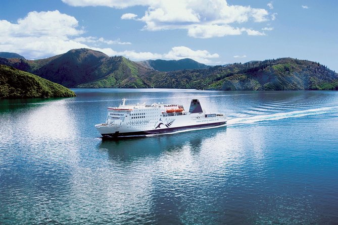 Half-Day Wine Tour from Picton - The guides make or break the afternoon