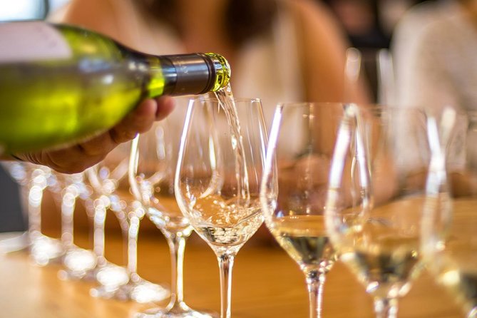 Half-Day Wine Tour from Picton - Eat before you go, then pace the pours