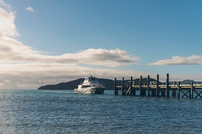Half-Day Wine Tour from Picton - Is $114.81 good value?