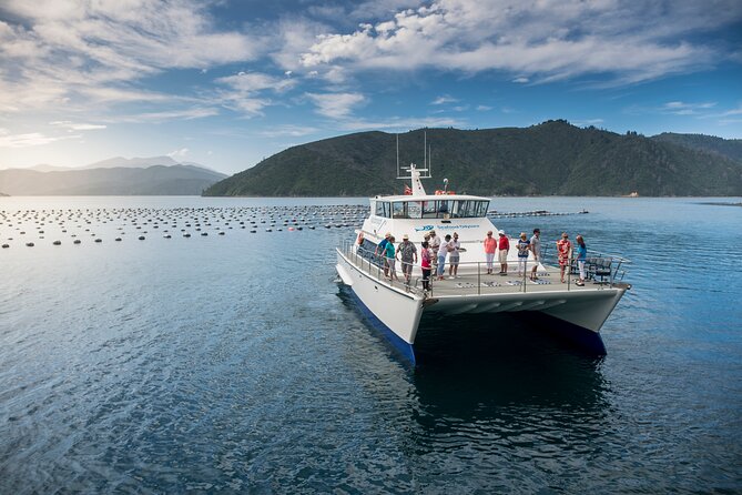 Half-Day Wine Tour from Picton - Extra stops can add a pleasant surprise