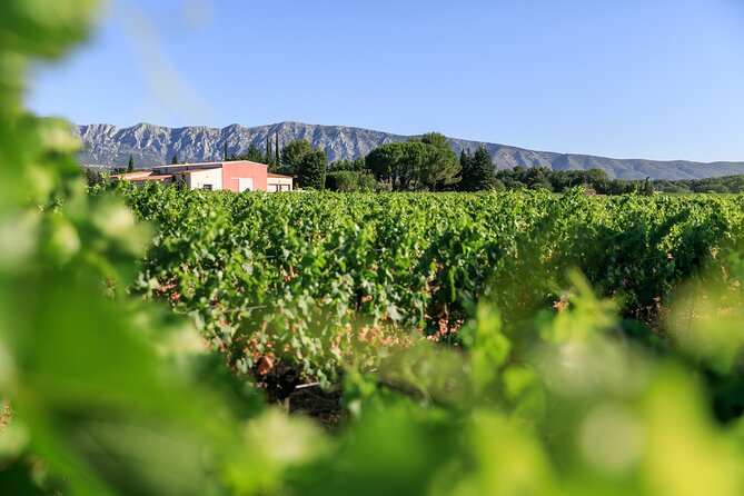 Half day Wine Tour in Côtes de Provence Sainte-Victoire from Aix en Provence - Key details before you book