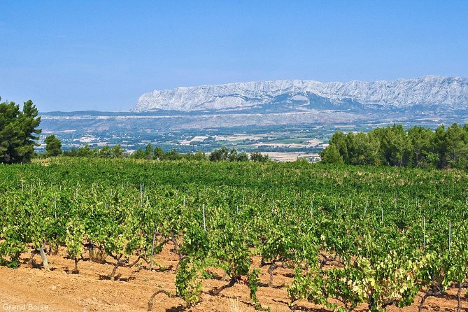 Half day Wine Tour in Côtes de Provence Sainte-Victoire from Aix en Provence - The first winery: behind the tasting-room door