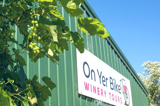 Hawkes Bay Wineries Self-Guided Bike Tour - Is $40.34 a good price?
