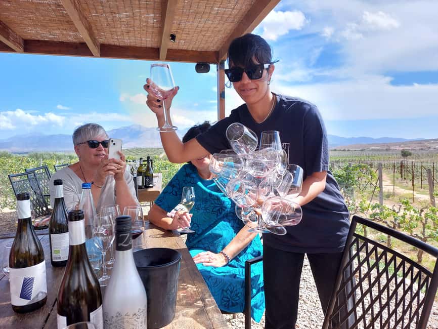 Heraklion: Cretan Wine Tasting Tour & Gourmet Lunch - Two wineries, two different views of Cretan wine