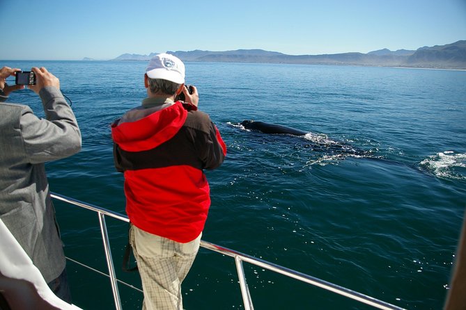 Hermanus Whale Watching Shared Boat Trip and Private Wine Tour from Cape Town - The scenic return along Route 44