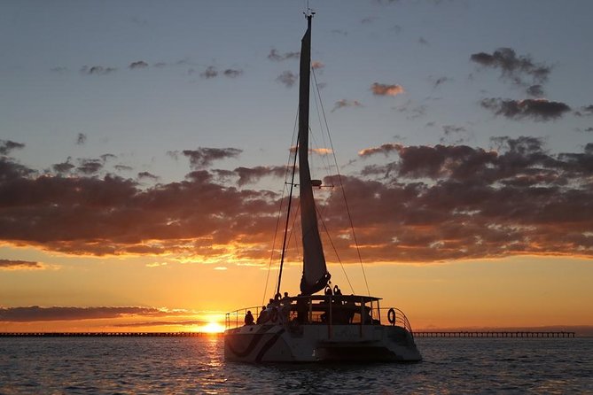 Hervey Bay Champagne Sunset Sail - Key points to know before you book