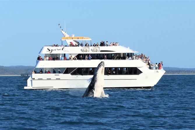 Hervey Bay Champagne Sunset Sail - Service that feels personal