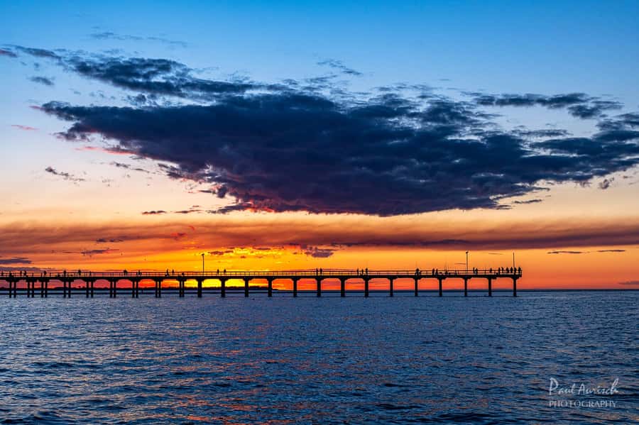 Hervey Bay: Relaxing Sunset Cruise with Champagne and Prawns - Prawns, grazing food, and one included drink