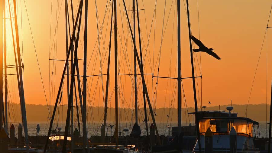 Hervey Bay: Relaxing Sunset Cruise with Champagne and Prawns - Stepping ashore at Weenandin, Round Island