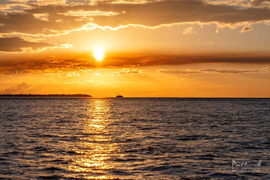 Hervey Bay: Relaxing Sunset Cruise with Champagne and Prawns - Music, guiding, and the mood on board