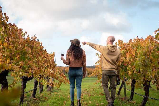 Hidden Gems: Boutique Full-Day Wine, Farm & Lunch Tour - Temper Temper: a short stop for chocolate and coffee