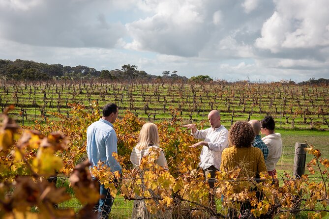 Hidden Gems: Boutique Full-Day Wine, Farm & Lunch Tour - 9:00 am: farm animals, scones, and local coffee