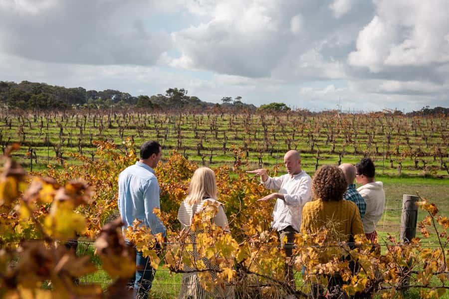Hidden Gems Margaret River: Authentic Wine & Farm Experience - Quick reasons to consider this tour
