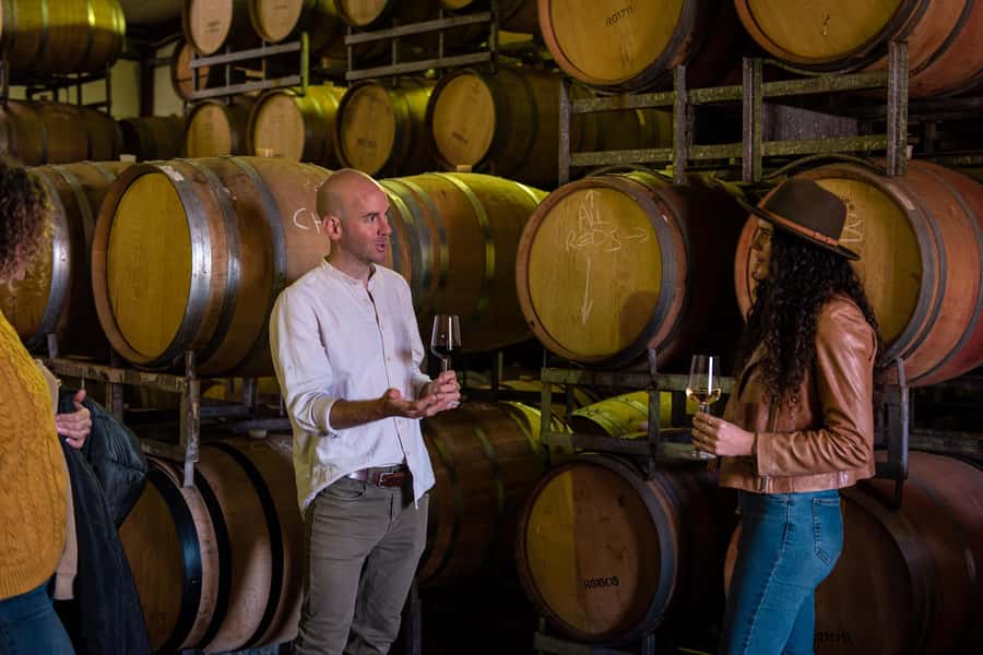 Hidden Gems Margaret River: Authentic Wine & Farm Experience - Farm animals, scones and a gentle start