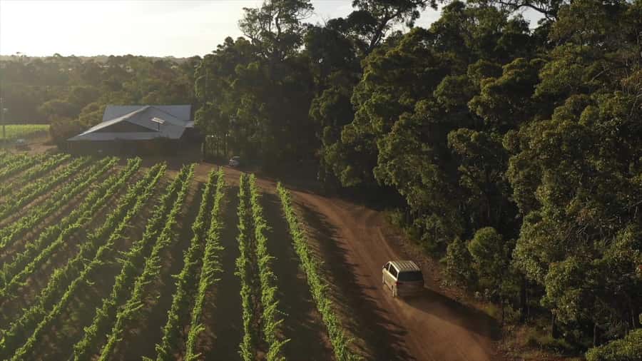 Hidden Gems Margaret River: Authentic Wine & Farm Experience - What the guides add to the day
