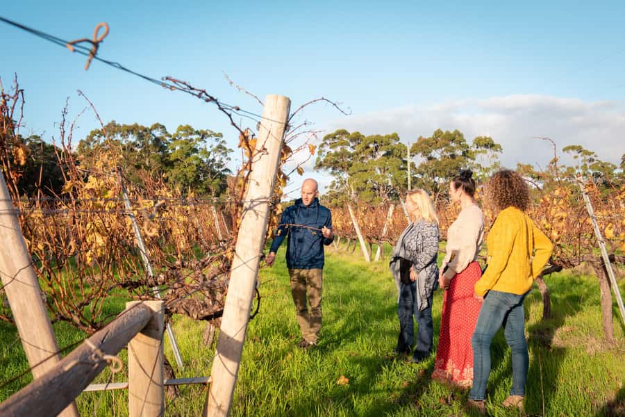 Hidden Gems Margaret River: Authentic Wine & Farm Experience - Is $145 good value?