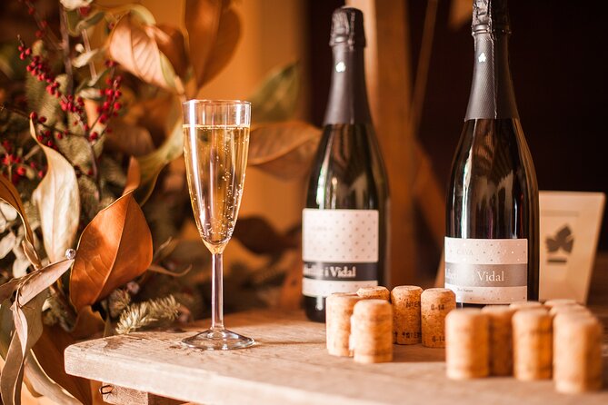 High-End Vineyard Escape: Cava, Tapas & Wine | Private Tour - Who will enjoy this day most
