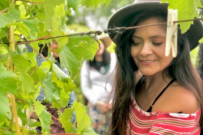 Hinterland Heritage Wine Tour - What the day is really about
