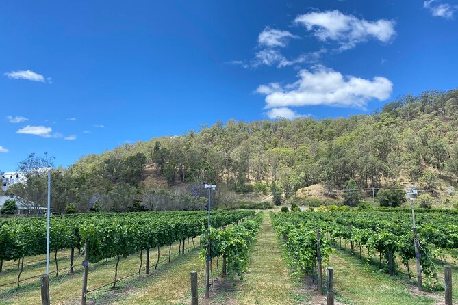 Hinterland Heritage Wine Tour - Sarabah Winery, lunch, and the day’s favorite pause
