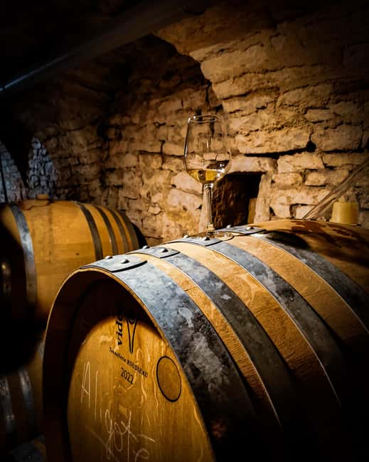 Historic Center of Dijon : Discovery Tasting Wine Burgundy - Starting at 32 Rue Berbisey in Dijon