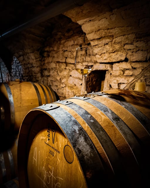 Historic Center of Dijon : Discovery Tasting Wine Burgundy - Booking advice for a smoother experience