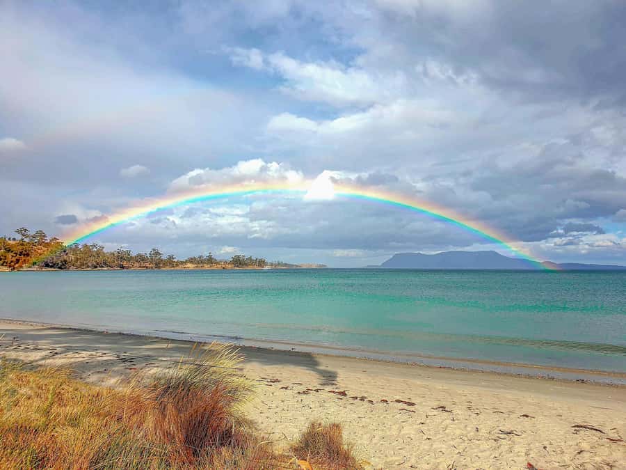 Hobart: Wineglass Bay, Freycinet Park, and Richmond Tour - A useful food stop at Devil’s Corner