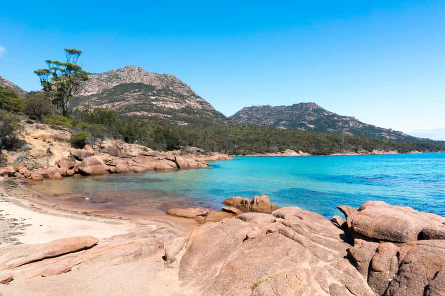Hobart: Wineglass Bay, Freycinet Park, and Richmond Tour - The guide can make or break a long day
