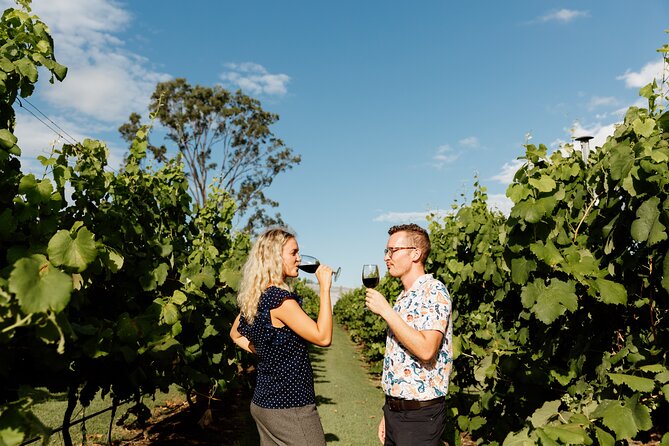 Hop on Hop off Wine tasting tour to Tamborine Mountain - Gallery Walk, fudge, and mountain shopping
