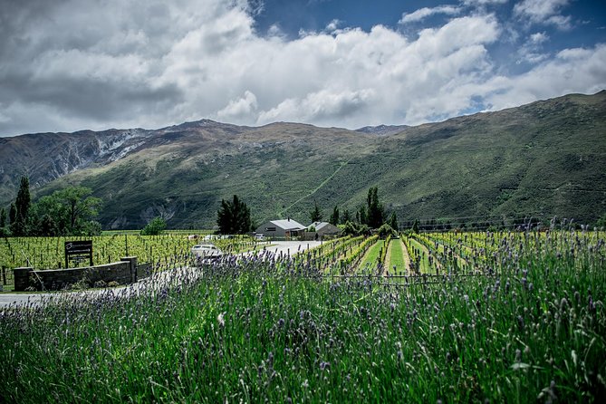 Hop on Hop off Wine Tours Queenstown - The route from Shotover Jet to Arrowtown