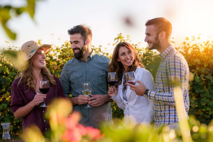 Hunter Valley: Wine, Chocolate and Lunch All Inclusive Tour - Key points at a glance