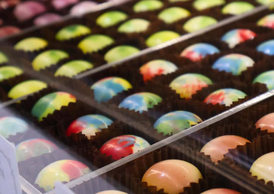 Hunter Valley: Wine, Chocolate and Lunch All Inclusive Tour - Draytons Family Wines adds the old family-vineyard feel