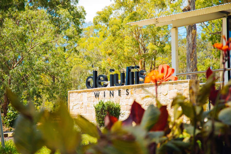 Hunter Valley: Wine, Spirits, and Cheese Tour with Lunch - Practical tips for a better day